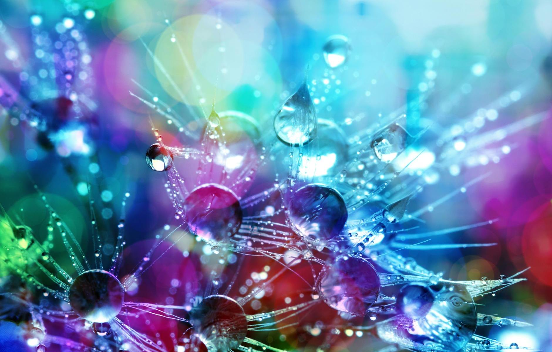 bokeh shot of water droplets